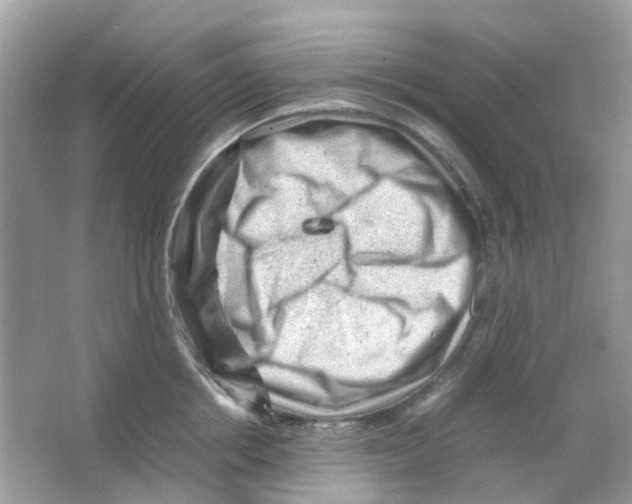 X0000065980858200603311903