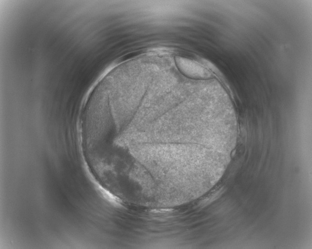 X0000065980859200603311903