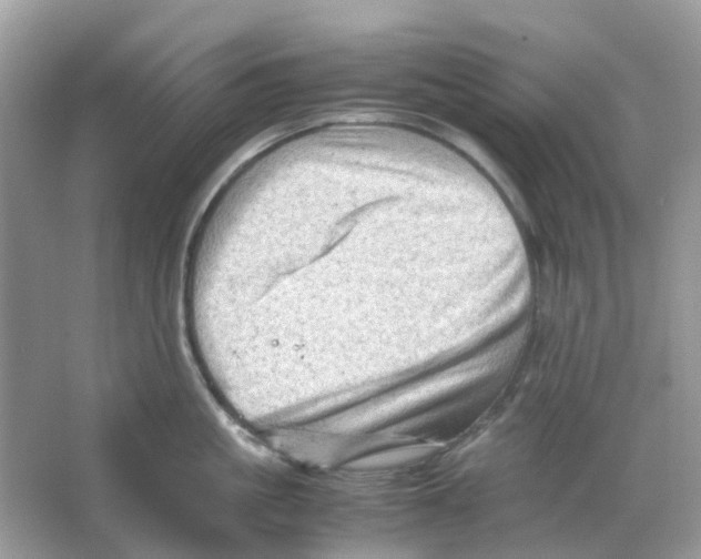 X0000065980861200603311903