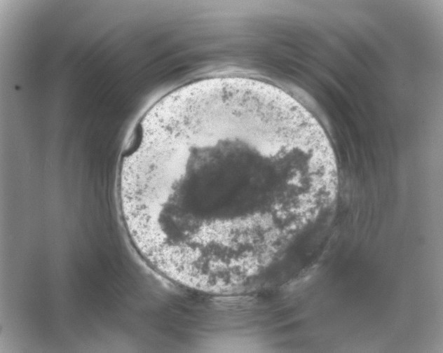 X0000065980863200603311903