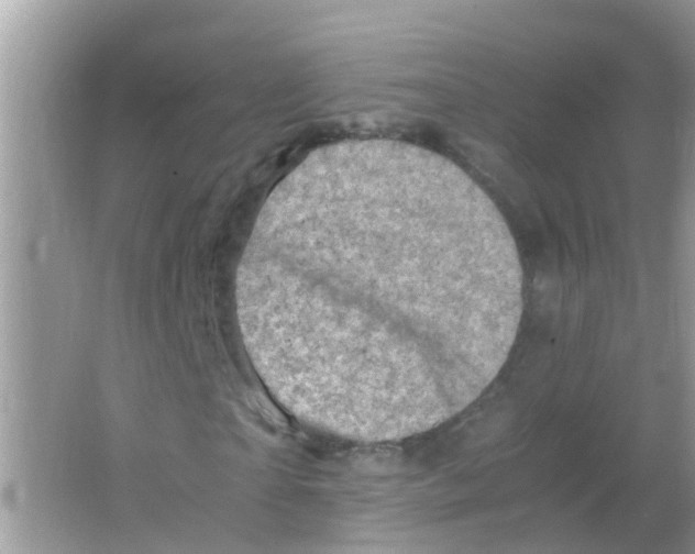 X0000065980865200603311902