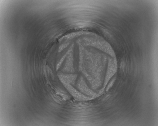 X0000065980868200603311902