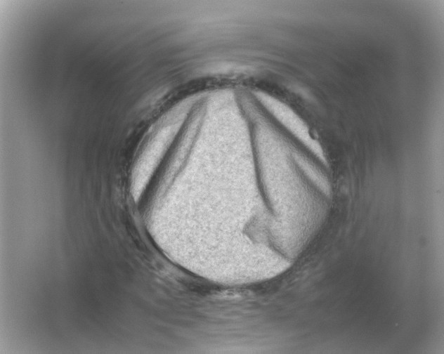 X0000065980869200603311902