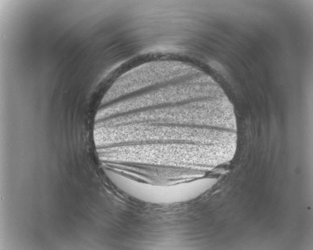 X0000065980872200603311902