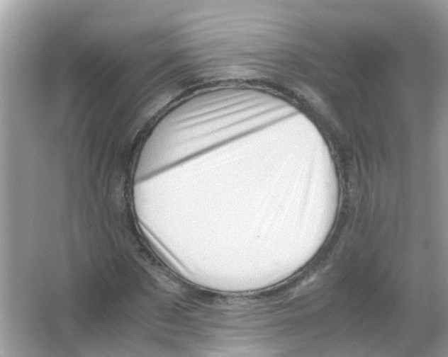 X0000065980873200603311902