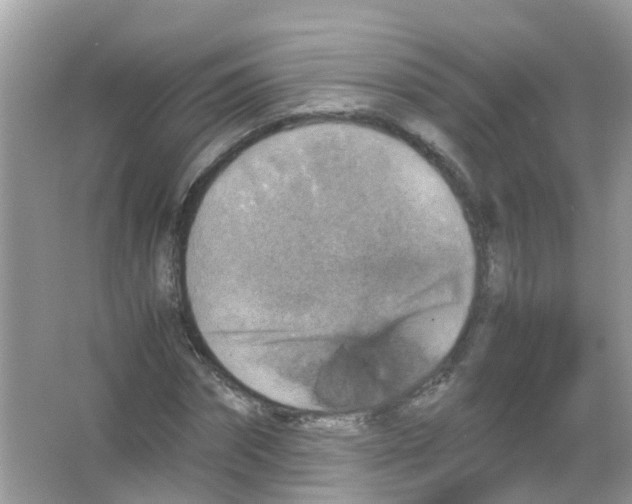 X0000065980874200603311902