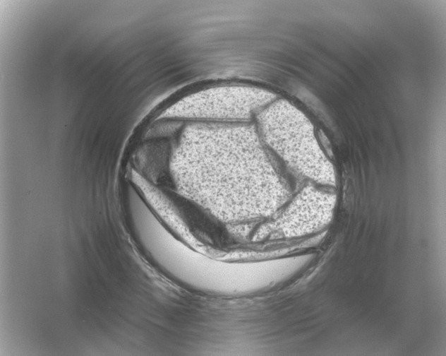 X0000065980876200603311902