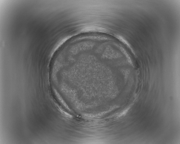 X0000065980877200603311902