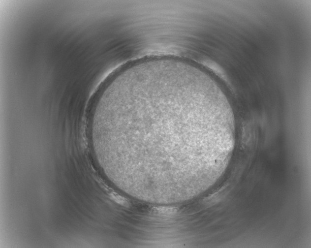 X0000065980878200603311902