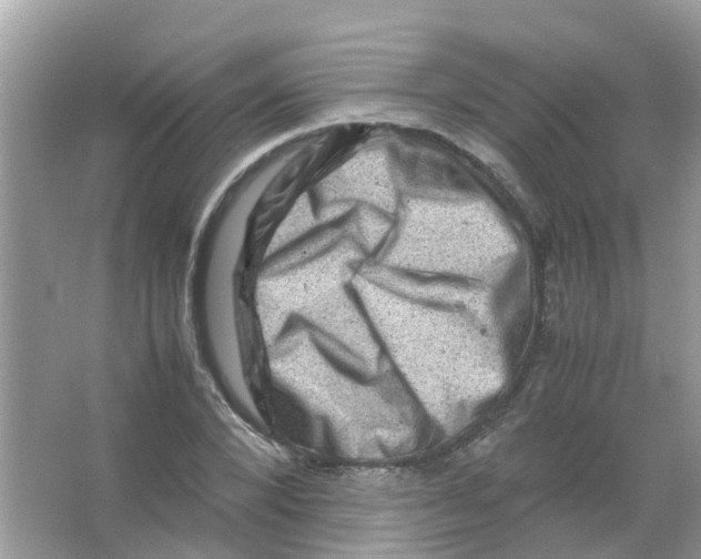 X0000065980880200603311902