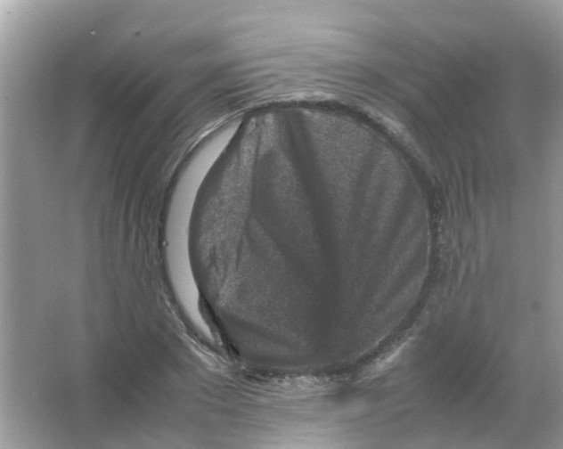 X0000065980881200603311902