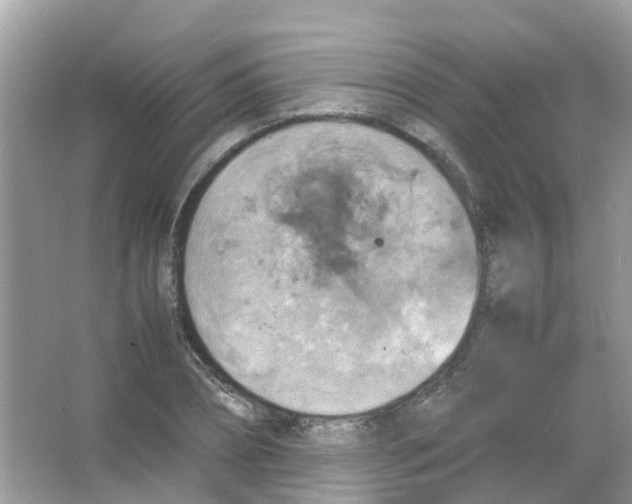 X0000065980882200603311902