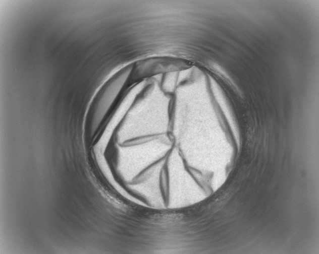 X0000065980884200603311902