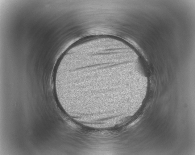 X0000065980885200603311902