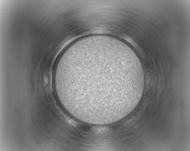 X0000065980886200603311902