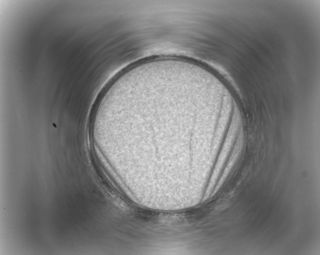 X0000065980887200603311902