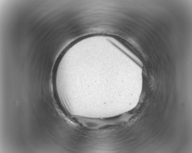 X0000065980888200603311902