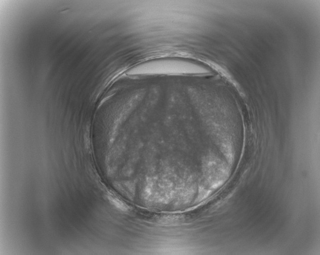 X0000065980889200603311902