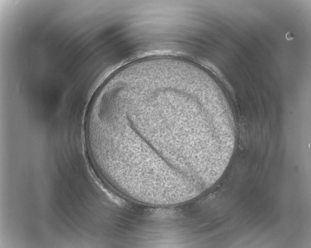 X0000065980890200603311902