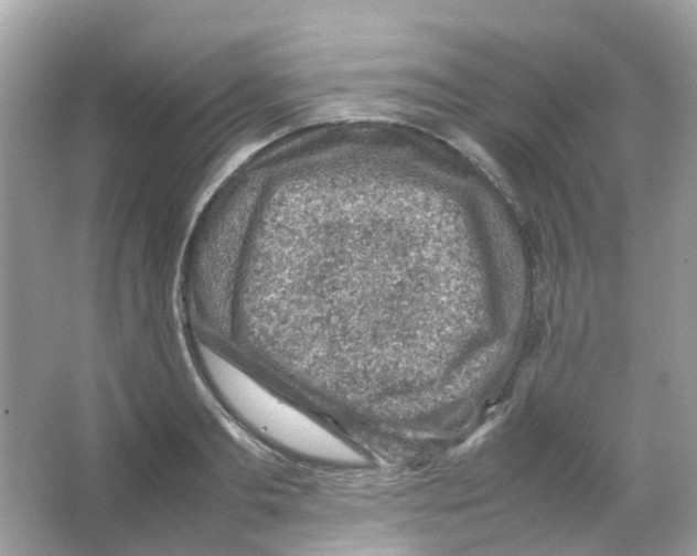 X0000065980893200603311902