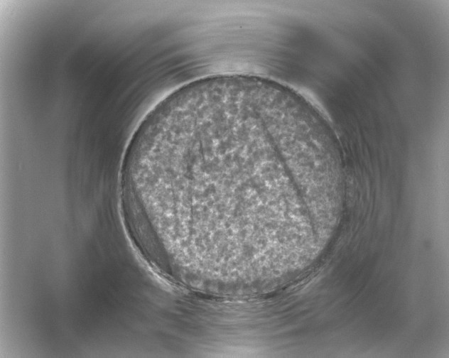 X0000065980895200603311901