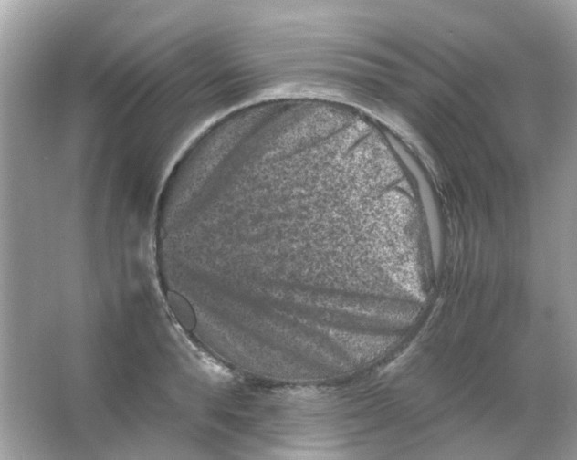 X0000065980896200603311901