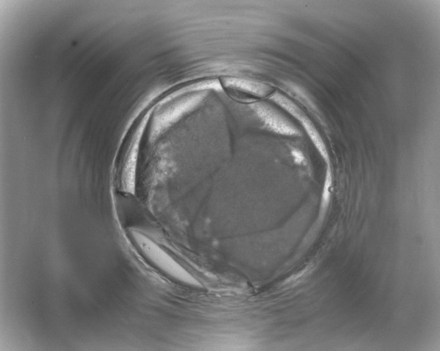 X0000065980899200603311901