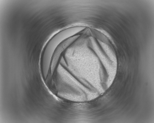 X0000065980902200603311901