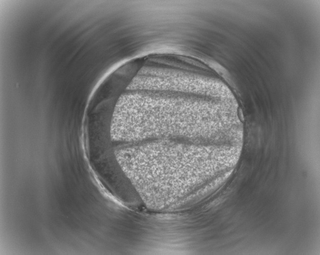 X0000065980904200603311901