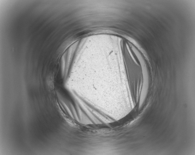 X0000065980905200603311901