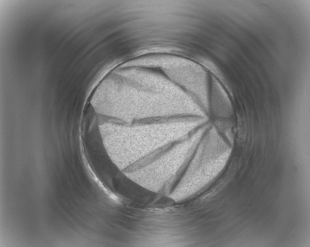 X0000065980906200603311901