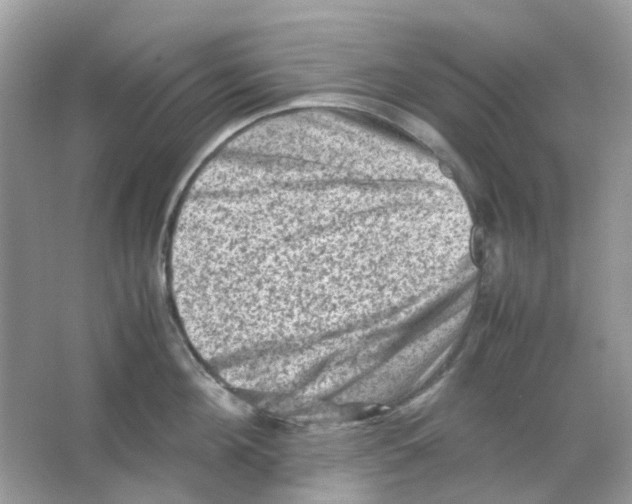 X0000065980908200603311901