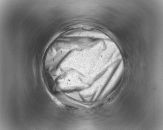 X0000065980909200603311901