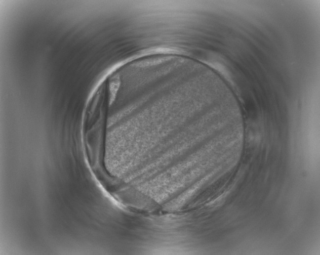 X0000065980910200603311901