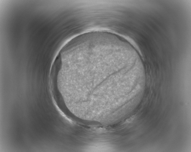 X0000065980911200603311901