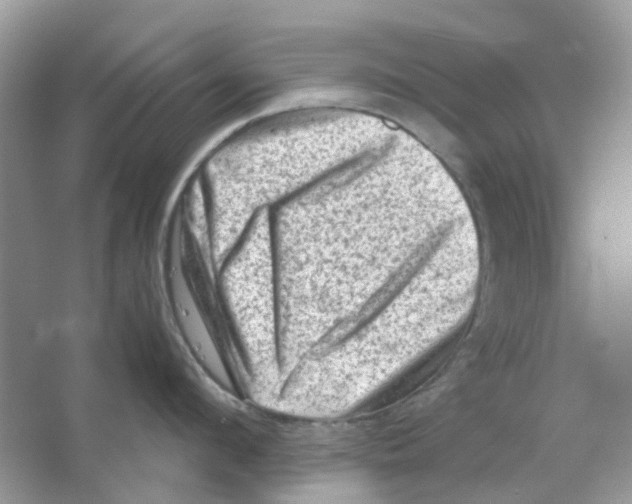 X0000065980912200603311901