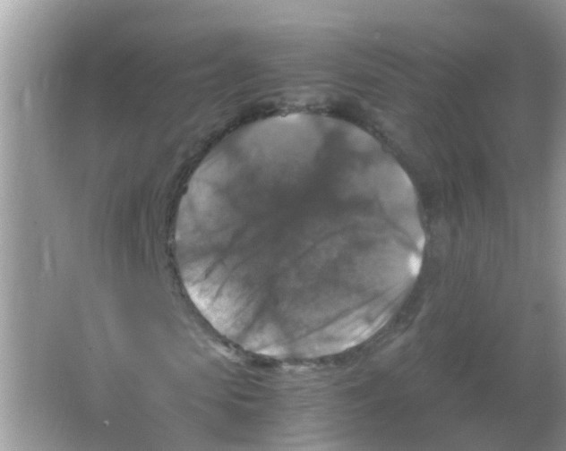 X0000065980913200603311900