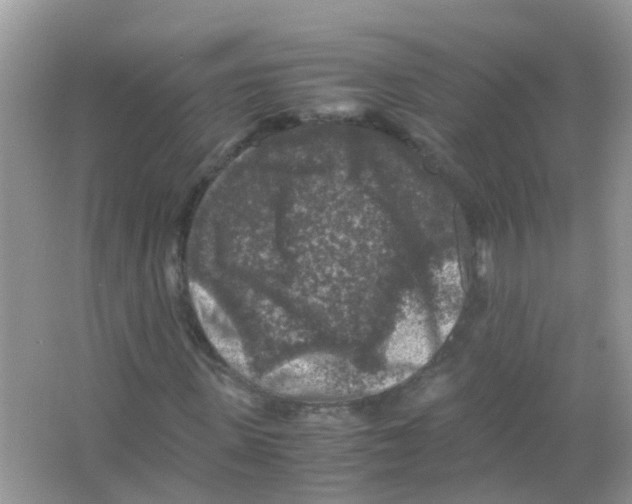 X0000065980915200603311900