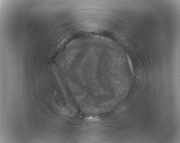 X0000065980916200603311900