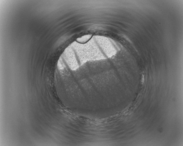 X0000065980919200603311900