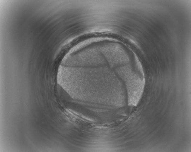 X0000065980920200603311901