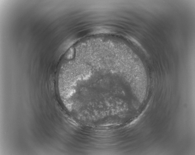 X0000065980921200603311901