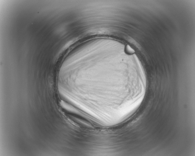 X0000065980922200603311901