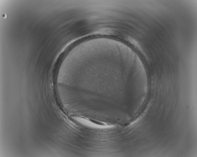 X0000065980923200603311901