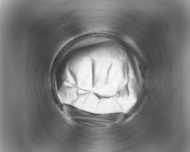 X0000065980924200603311901