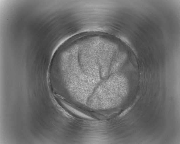 X0000065980928200603311901