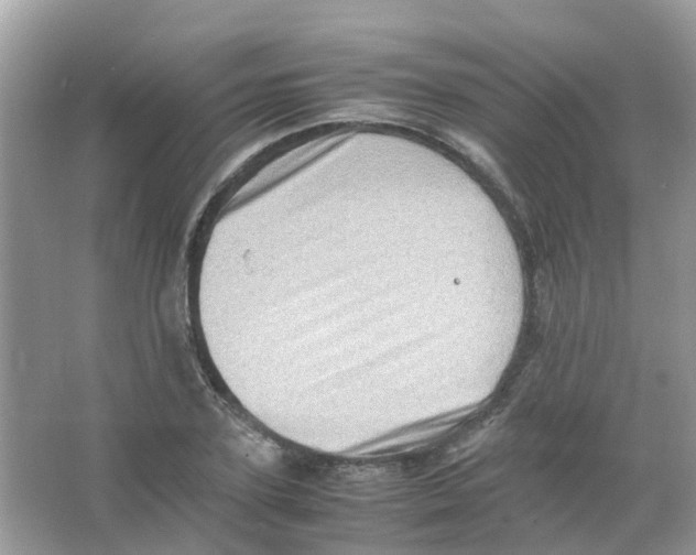 X0000065980931200603311901