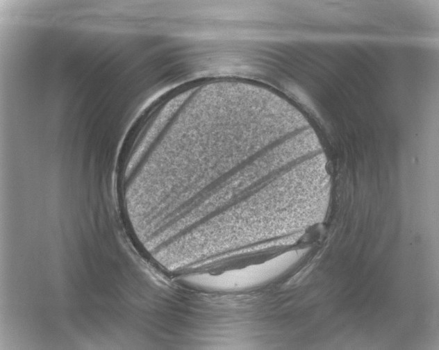 X0000065980932200603311901