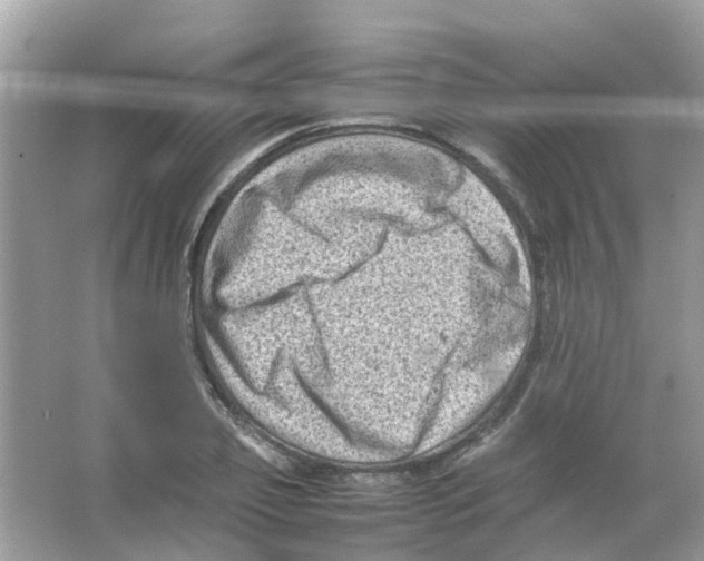 X0000065980933200603311901