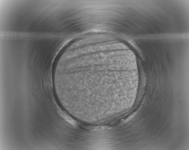 X0000065980934200603311901